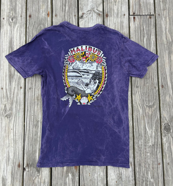 Delzel Acid Wash